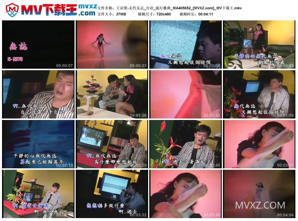 王识贤-无代无志_台语_流行歌曲_MA405652
